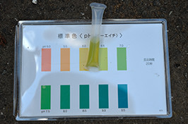 善福寺川での水質調査