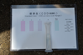 善福寺川での水質調査