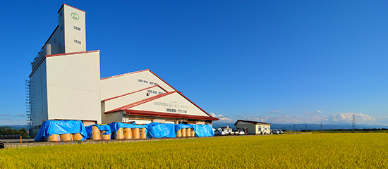 藤島南部籾乾燥調整貯蔵施設（庄内たがわ農業協同組合）。
