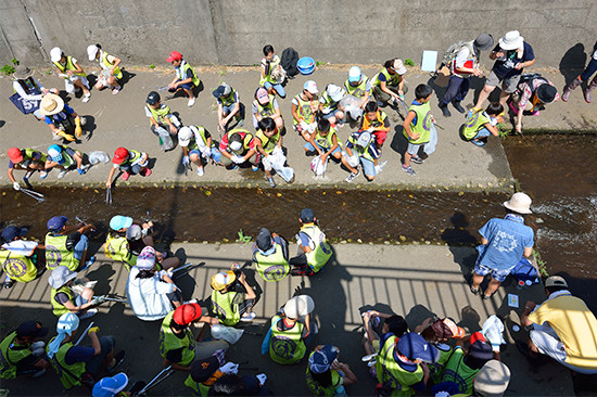 目指せ、善福寺川再生！ 荻小学校から始まった川へのアプローチ