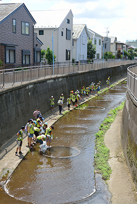 川の中に丸く見える部分に菖蒲や葦などが植わっていたり、湧水が湧く箇所もある。しかし、ヘドロ状になっているため大人でも足を取られて抜けられなくなることも。