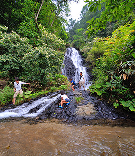 日本の滝百選の七滝は落差約60ｍ。かつて小坂鉱山の煙害により緑が失われたが、自然再生に成功