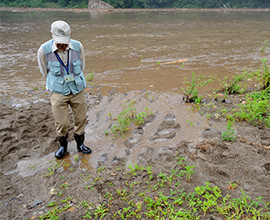 伊藤徳治さんの足下にひたひたと増水する米代川の水。