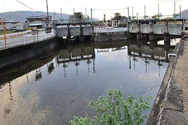 旭川左岸のエリアを潤している祇園用水を分水する祇園大樋。
