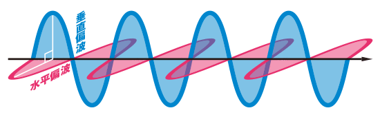 2種類の偏波を送信するMPレーダ
