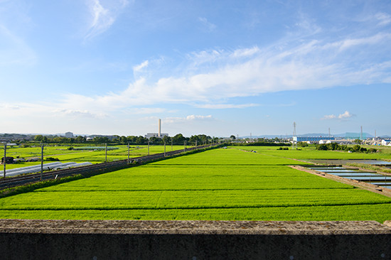 稲作の長い伝統を持つ奈良盆地では、徹底的な灌漑が行なわれてきた。