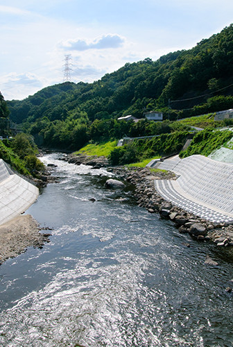 向かって右が地滑り面。大和川の河床下の地盤ごと動かすようにして滑っていく。