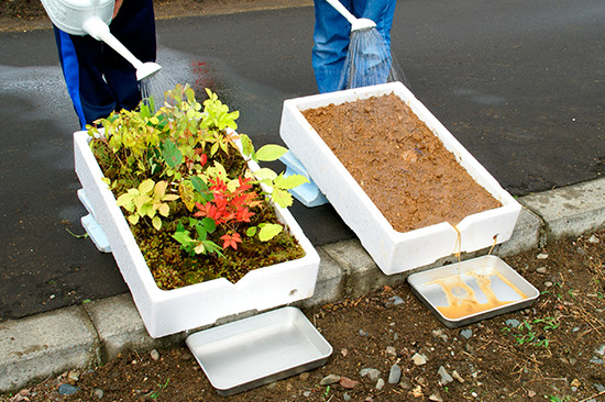 植樹の意味を理解するのに役立つ、水害抑制の〈見える化〉。樹木が土壌流出を防いでいることがわかる。