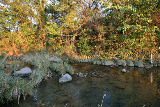 物部川の支流である片地川の近自然工法の現場。10年以上経って、瀬や淵、中州が自然な姿に回復している