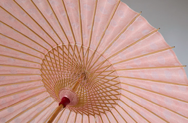 桜色に白い水玉模様が入った和傘。