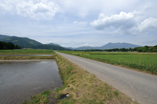 田植えを目前に控えた那須野ヶ原の水田。