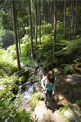 「天狗滝」に向かう山道。多少険しい箇所もあるが、30分ほど歩くと天然クーラーの別世界に