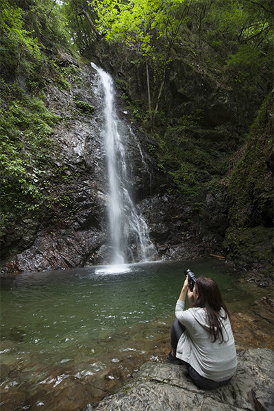 日本の滝百選にも選ばれている「払沢の滝」