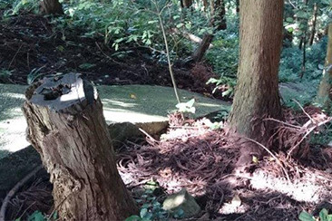 どハバと呼ばれる古い河岸段丘から崖下の合口用水路を越えて水田まで赤土を運んだ水路跡。