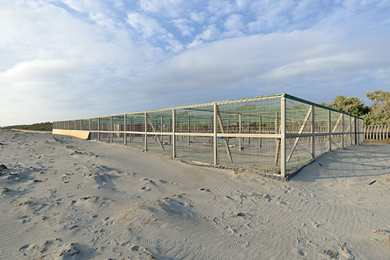 中田島砂丘に設置されているアカウミガメの保護柵。