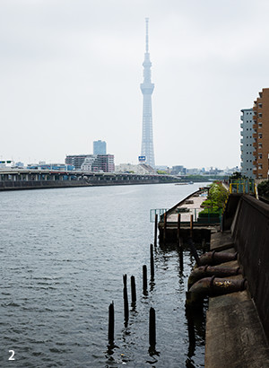 2 隅田川右岸からの風景。思川はここで合流したとも考えられている