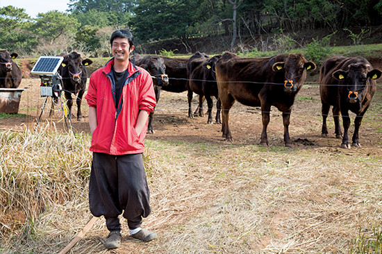 牛を50頭ほど育てる迎真志さんは二児の父。諫早市の農業大学校で学び、帰島した