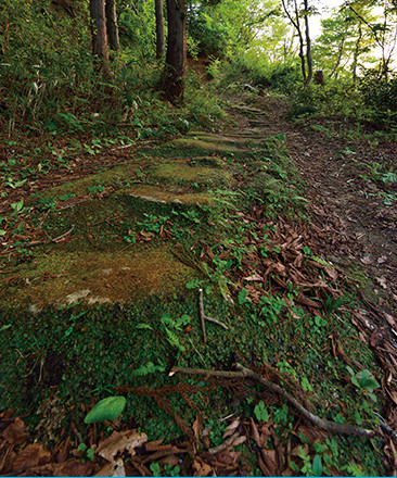 苔むした敷石が続く黒沢峠