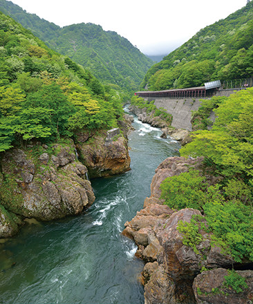 荒川の赤芝峡。