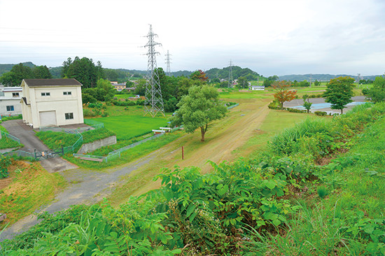 柳之御所遺跡の裏手にある低地。湊の跡と考えられる