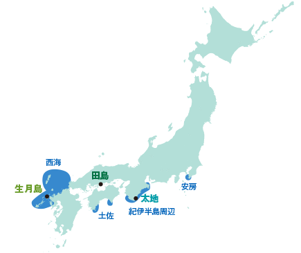 古式捕鯨の主要漁場