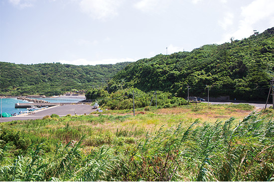 江戸時代、日本最大の鯨組と称された益冨組の納屋場跡。鯨の解体場があった海岸は御崎（みさき）漁港となった