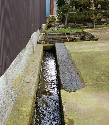 「やまいち松龍園」の引き水。奥は池になっていてコイが泳いでいた