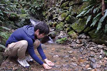 肱川の源流付近。森の奥から流れ出た水は、野村盆地へと向かう