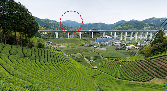 森内さんたち地元のお茶農家が雨の指標にしている牛ヶ峰（赤丸部分）。雲がかかっていても稜線がぼやけて見えるときは雨が降らない