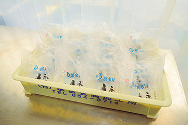 パレットに並べられた島豆腐。この状態のまま、ビニール袋の口を開けて販売する。買う人は温かいかどうか袋に触れて判断する