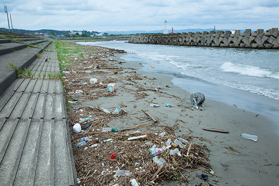 取材当日の六渡寺の海岸。数日前に清掃が終わったばかりなのできれいな状態という