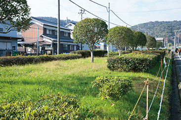 工業用水道の水源となる集水埋渠（しゅうすいまいきょ）が地下に埋められている緑地帯。揖保川から播磨臨海工業地域まで続く