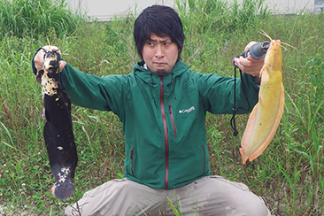 沖縄で釣り上げた東南アジア原産のウォーキングキャットフィッシュ。