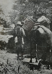 水に苦労した笠野原台地の歴史がわかる1927年（昭和2）の写真。台地の下で汲んだ水を馬の背に乗せて運び上げている