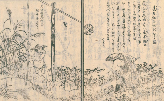 『農具便利論』（大蔵永常 著、横川陶山 画、文政5［1822］）より、農夫が井戸から水を汲んでいる場面。井戸の側壁が崩れないように井戸側が使われていることがわかる（国立国会図書館蔵）