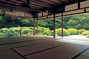 都市公園