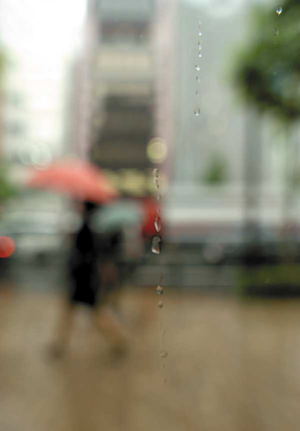 17号 雨のゆくえ