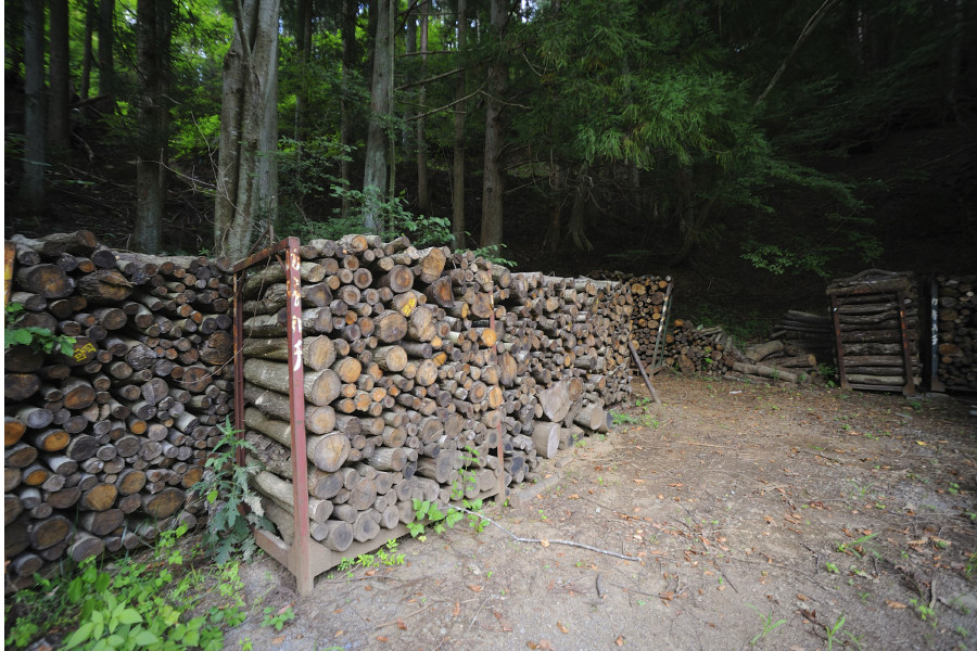 山梨県都留市の山林で、パレットに整理された薪が出荷を待っている。主にブナなどの広葉樹でつくられた生木に近いこの薪は、静岡・焼津に運ばれ、鰹節の燻しに使われる。