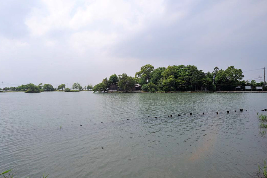 「浮島さん」と親しまれる浮島熊野座神社。