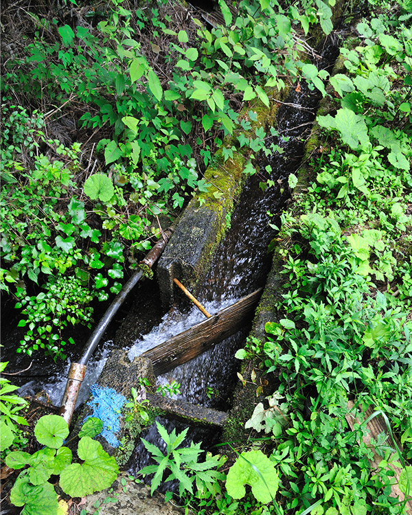 体系的にみた水利権