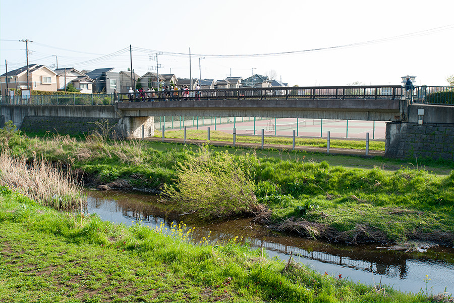 国分寺崖線の湧水を集めながら崖線下をほぼ南東に流れる、多摩川の支川 野川。奥に見えるテニスコートは、2000年（平成12）竣工の〈野川大沢調整池〉。水量が増えたときは、テニスコートに越流させて一時貯留している。