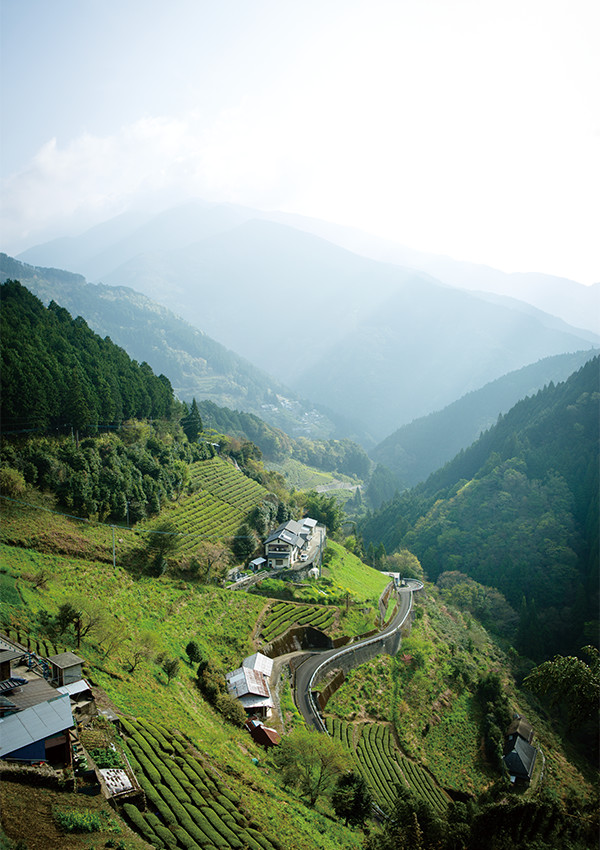 高台から山城町を望む。