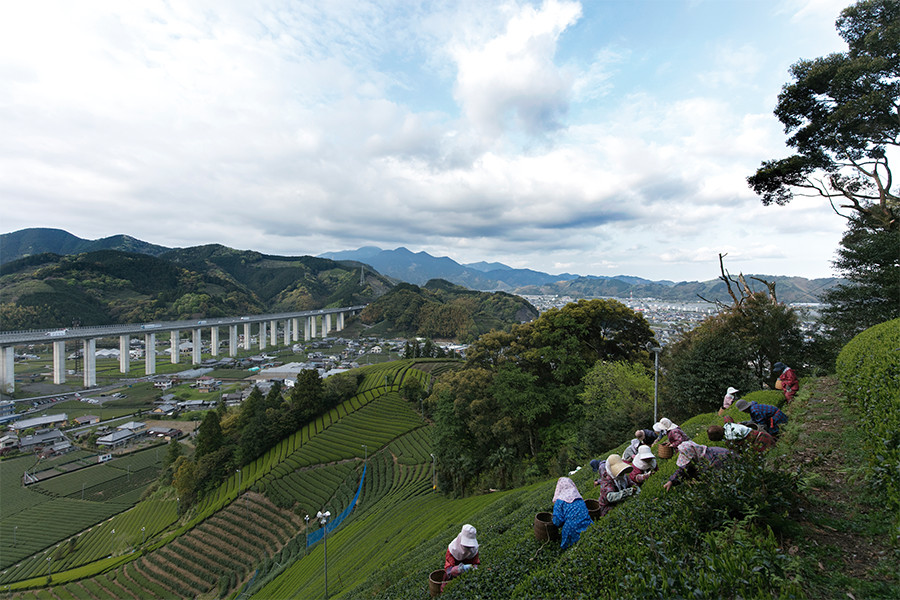 一級河川・安倍川流域にある森内茶農園。