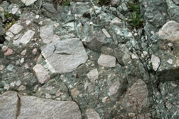 片辺礫岩の岩肌。少し赤っぽい岩片が大陸の岩盤をなす花崗岩