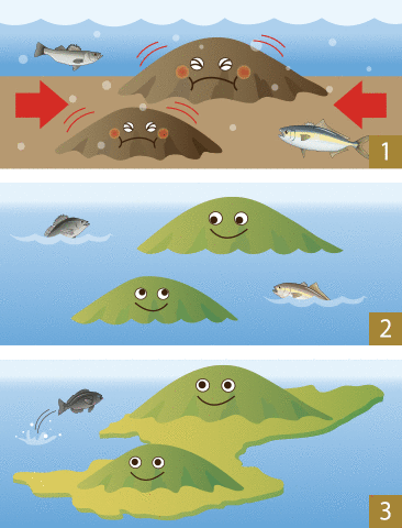 平根崎付近の海岸。海に沈んだあと再び隆起したため、斜めになっている