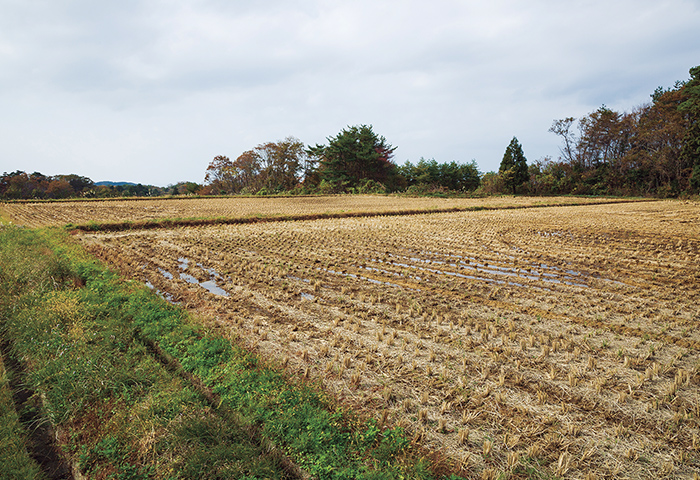 笹川集落の上に広がる「開田地区」の水田。山向こうから引いた水を利用している