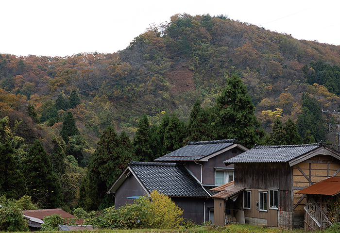 西三川砂金山で最大の稼ぎ場とされる虎丸山（とらまるやま）。砂金を含む山肌を掘り崩した跡が見える