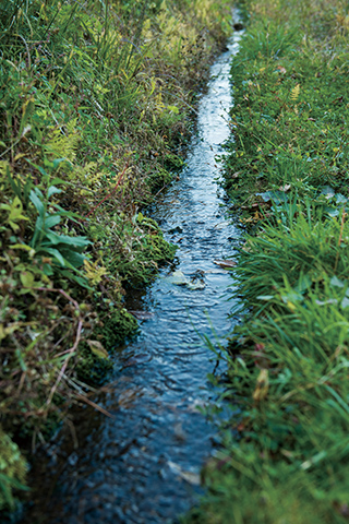 冷たい山の水が流れる「江」