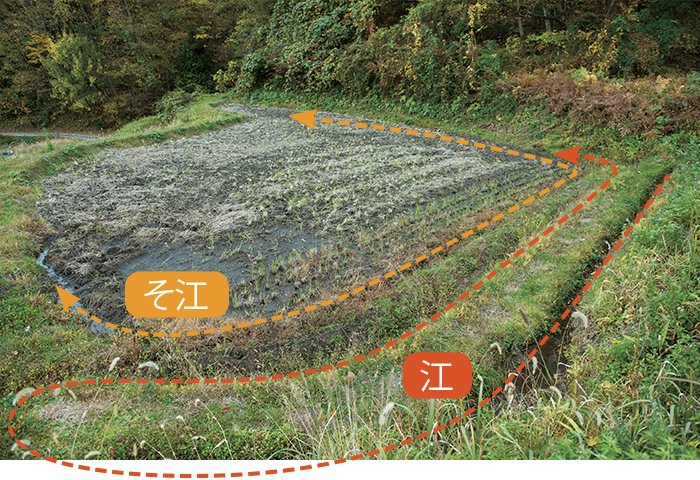 「江」を経た水は「そ江」で温めて田に入れる