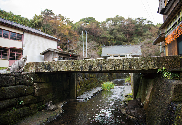 [9]1776年（安永5）に尾道から運ばれ、寄進された念佛橋